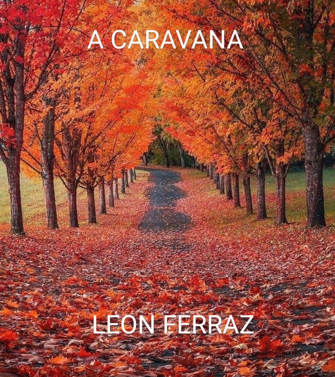 Estrada nova