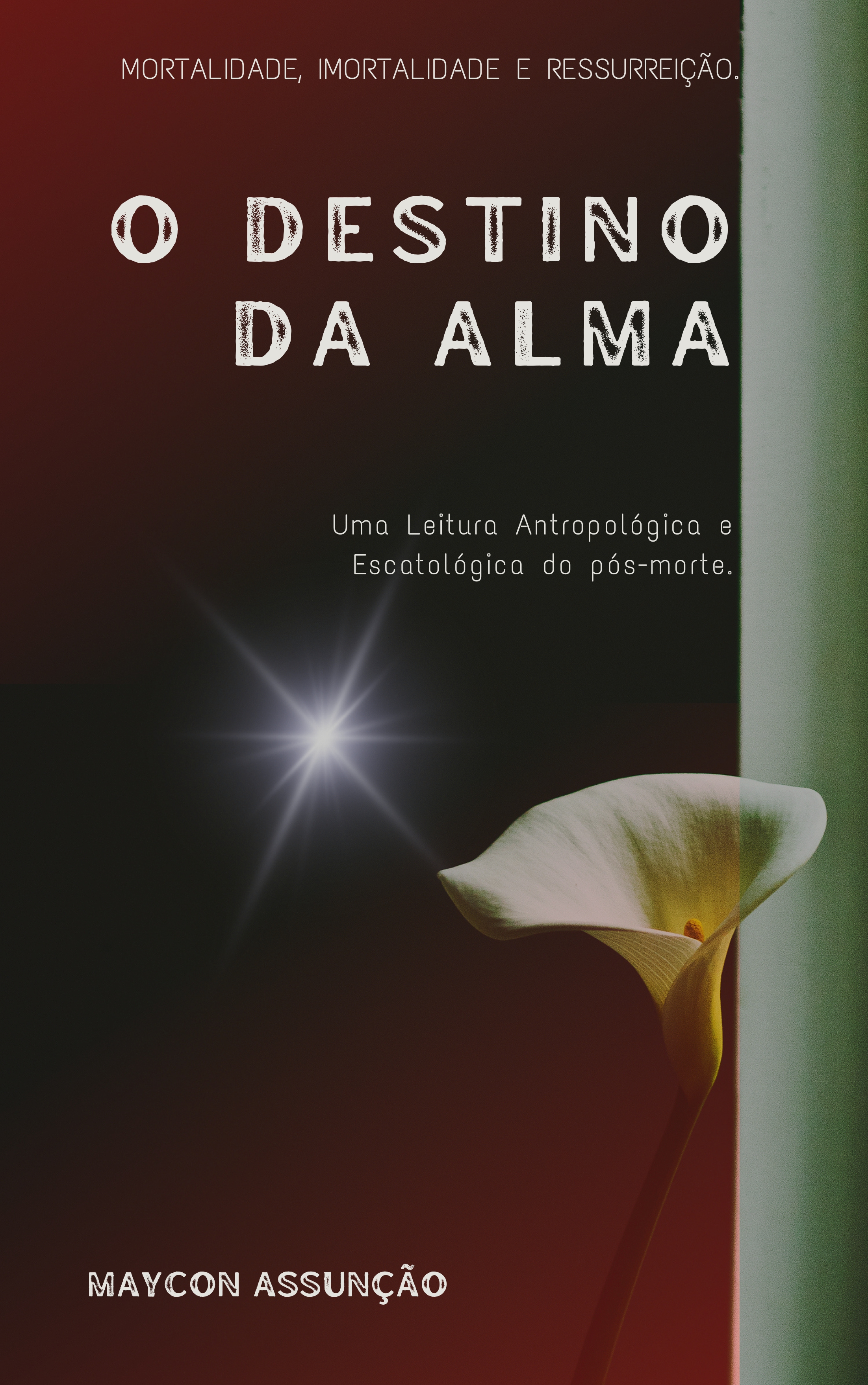 UMA VASSOURA E UM SONHO