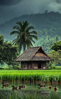 SOMOS MOVIDO PELA A F� LITERATURA CRIST� 