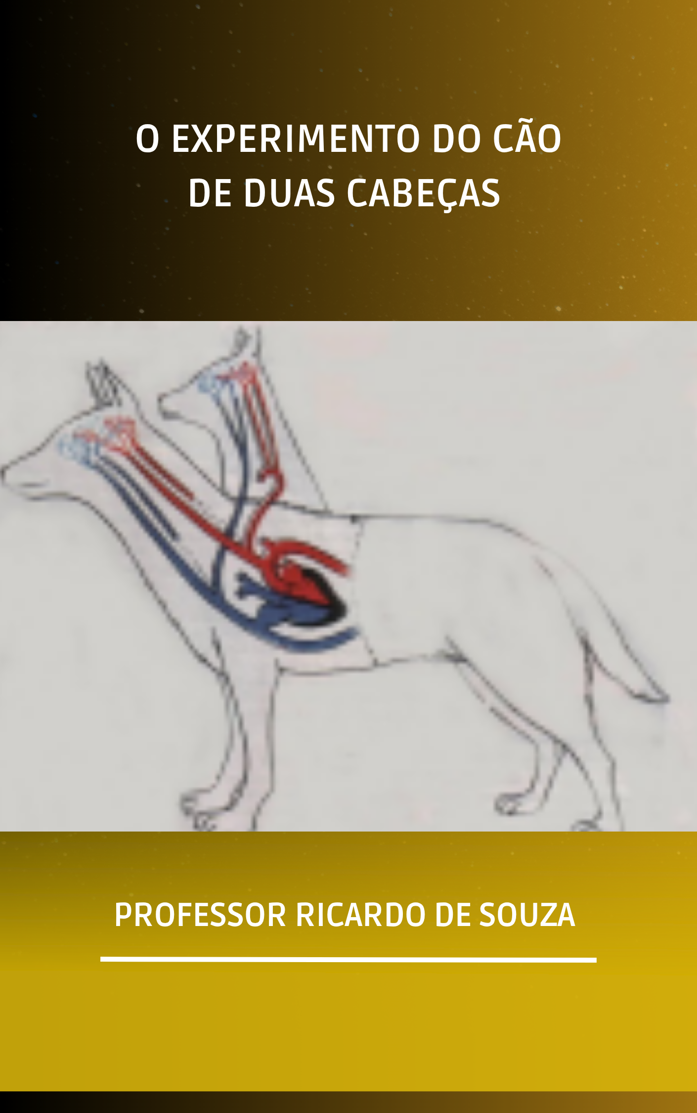 São Francisco de Assis