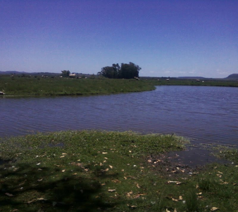 VENTOS DOS PAMPAS