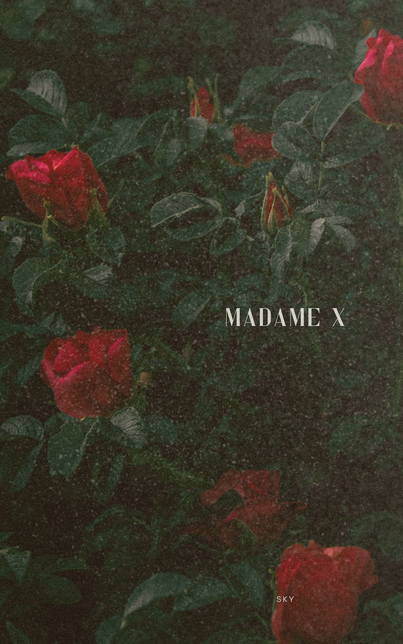 Bilhetes para Leandro