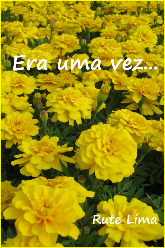 Luz, C�mera... Terror Real