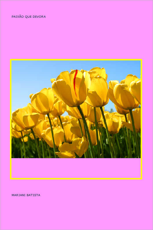 As Esta��es do Amor