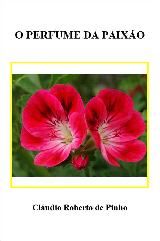 LETRAS PELA A F� LITERATURA POESIA 