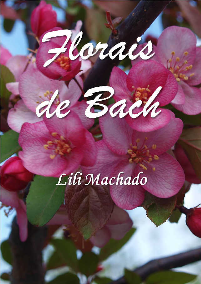 Orações, Amarrações, Simpatias, Feitiços, Rituais e Magias de São Cipriano