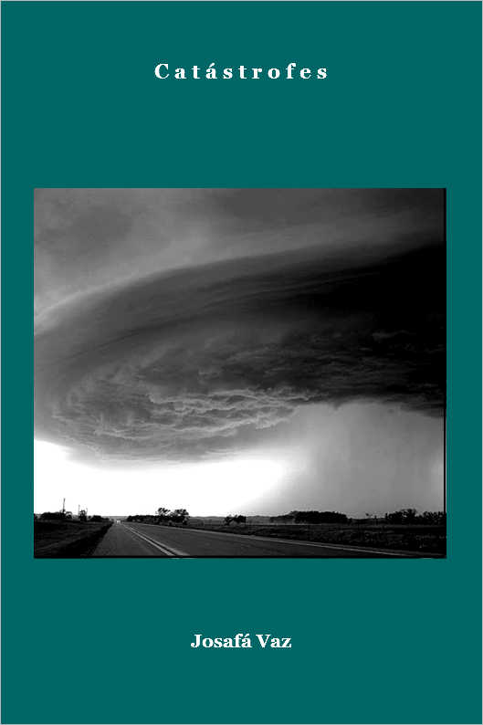 ABSTRATA SIMETRIA DAS FLORES