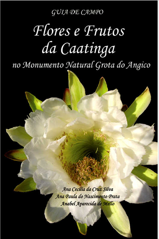 TUDO COME�A POR UM COME�O...