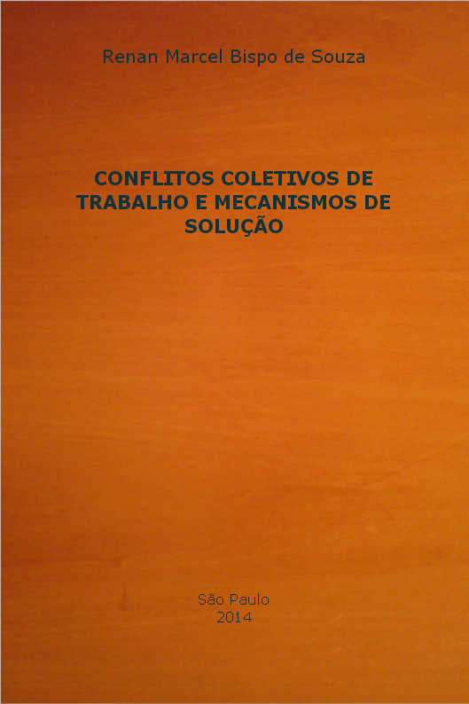 Sistema Penal & Direitos Humanos