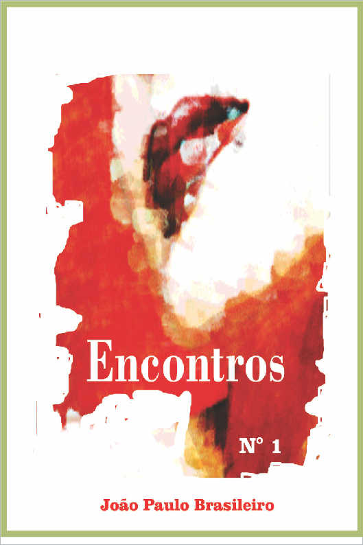 Encontros - Vol. 1