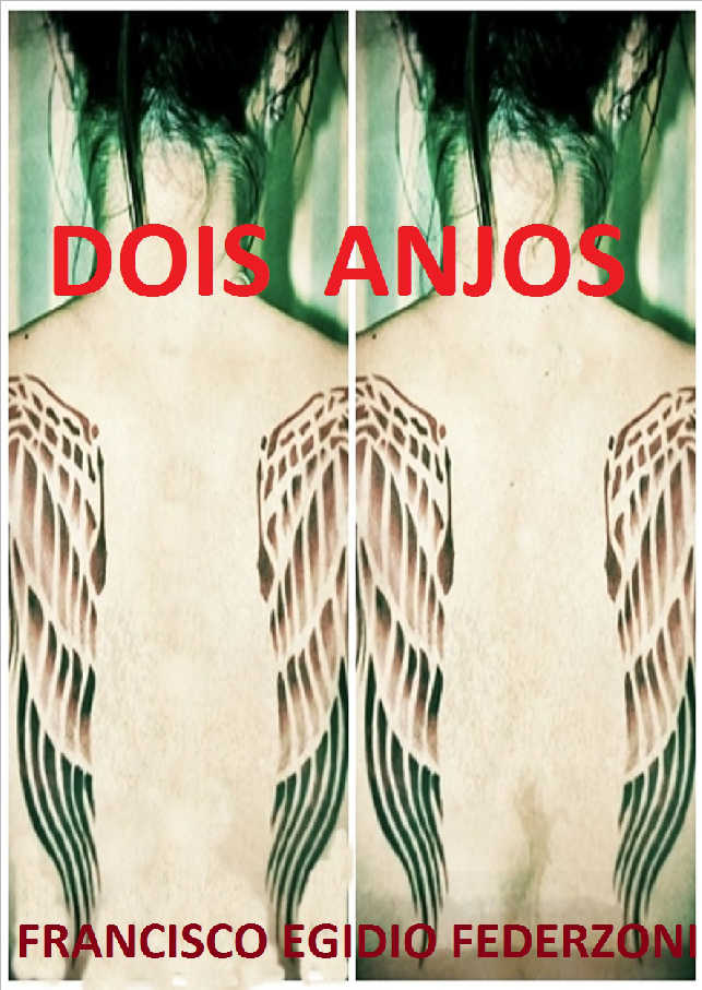 O Voo da Garça Negra