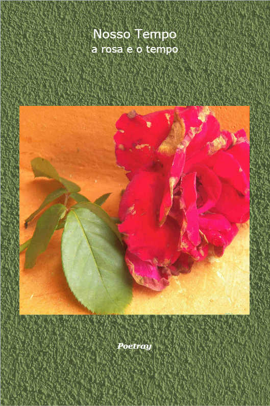 O AMOR EM MIL E UMA FASES