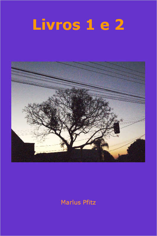 O AMOR EM MIL E UMA FASES