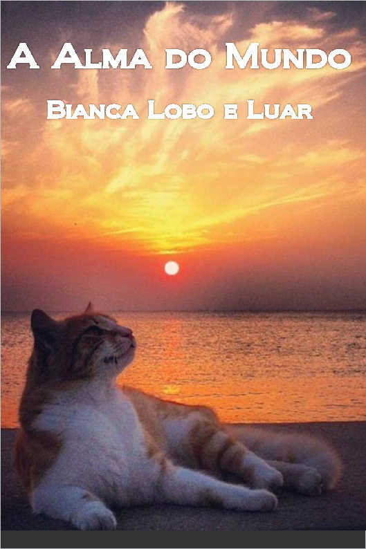 Já Chegou aos Confins da Terra. E Agora?