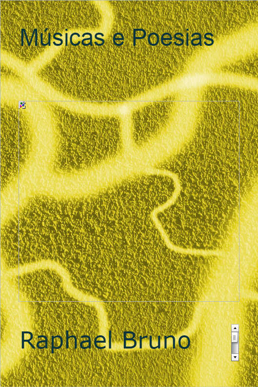 O POL�TICO SINCERO