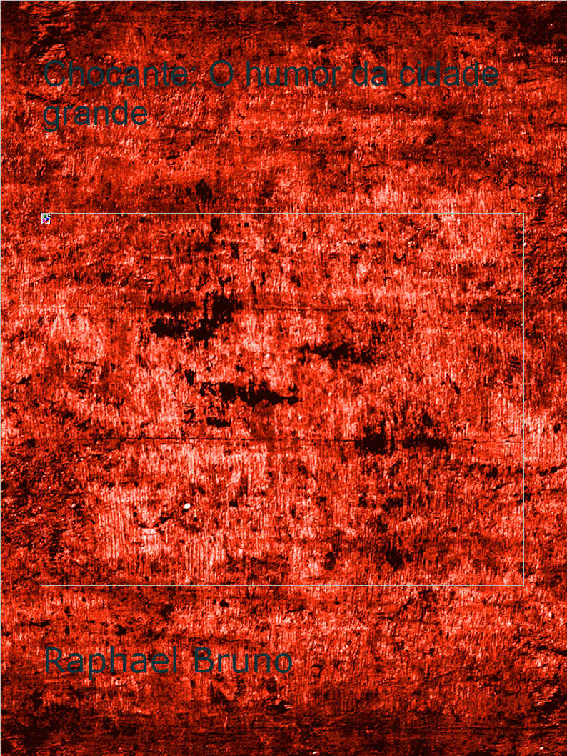 O POL�TICO SINCERO