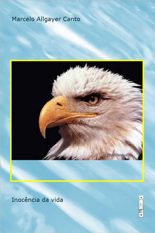 O Astr�nomo Azarado