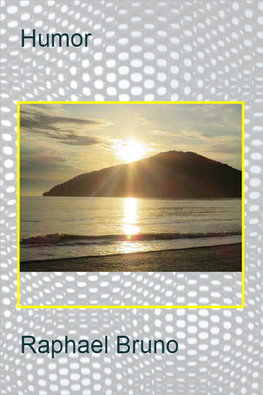 O POL�TICO SINCERO