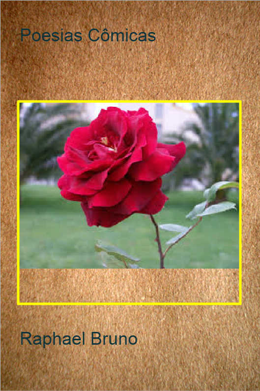 O POL�TICO SINCERO