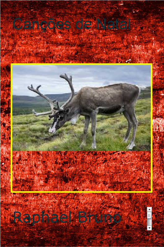 O POL�TICO SINCERO