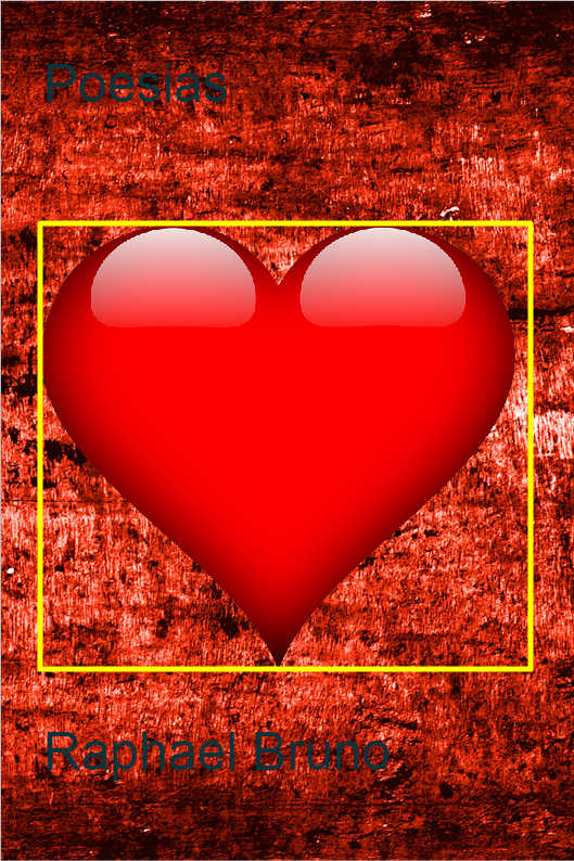 O POL�TICO SINCERO