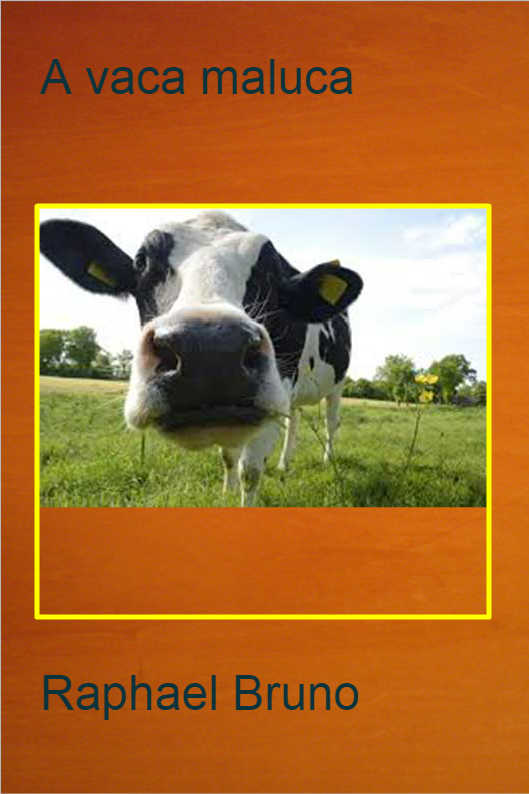 O POL�TICO SINCERO