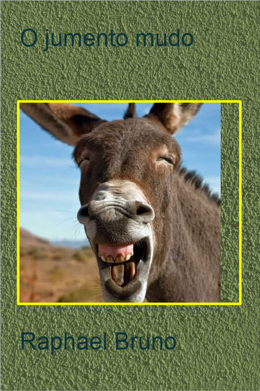 O POL�TICO SINCERO