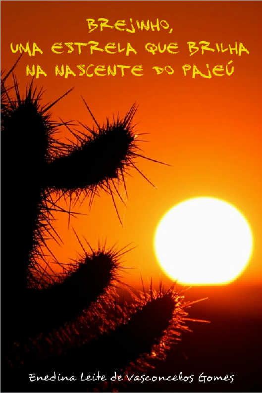 Uma Chamada Séria a Uma Vida Santa e Devota