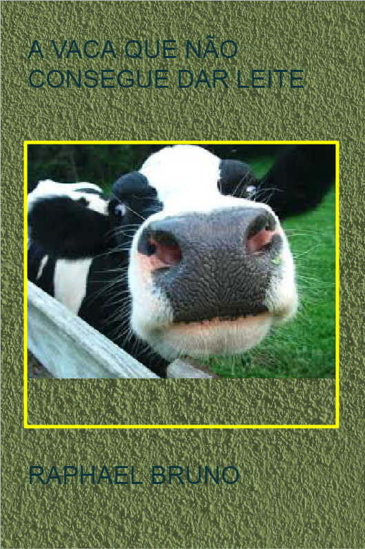 O POL�TICO SINCERO