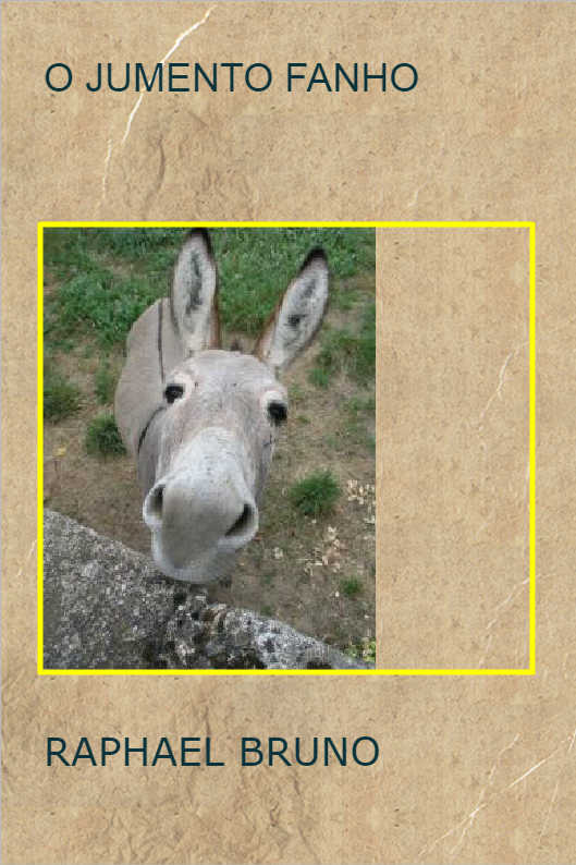 O POL�TICO SINCERO