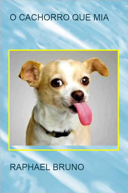 O POL�TICO SINCERO