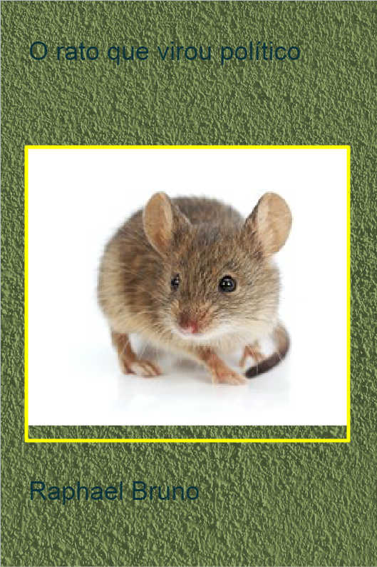 O POL�TICO SINCERO