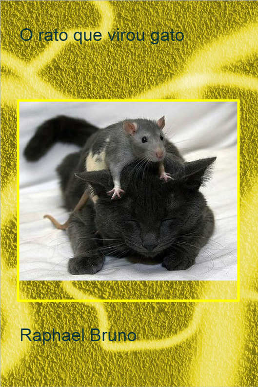 O POL�TICO SINCERO