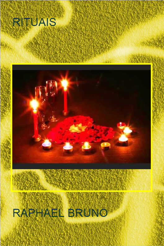 O POL�TICO SINCERO