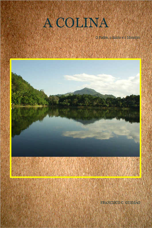 O POL�TICO SINCERO