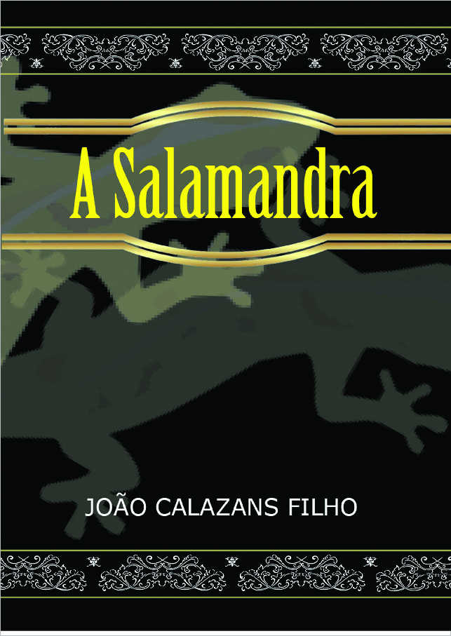 O Voo da Gar�a Negra