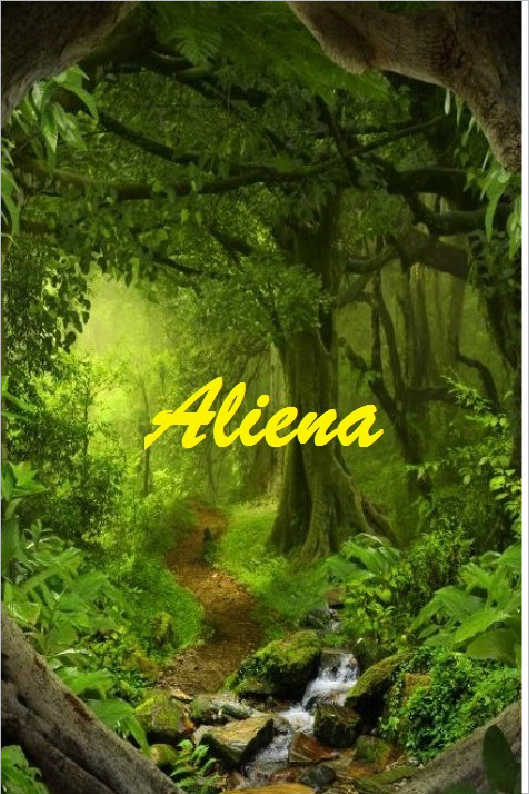 UMA ESTRELA PARA JO�O