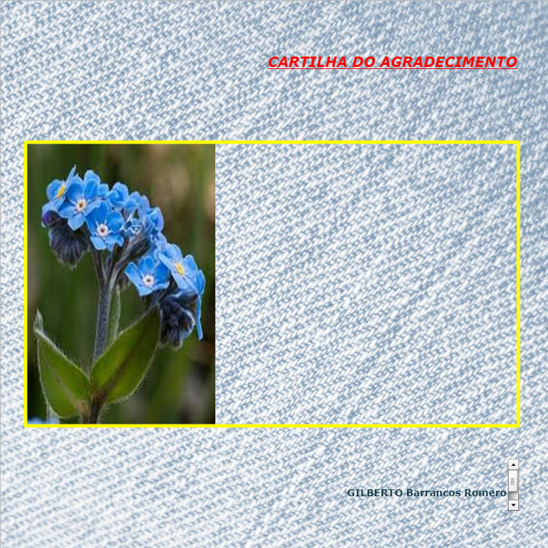 MANUAL DO SUPERVISOR I Seguran�a Privada