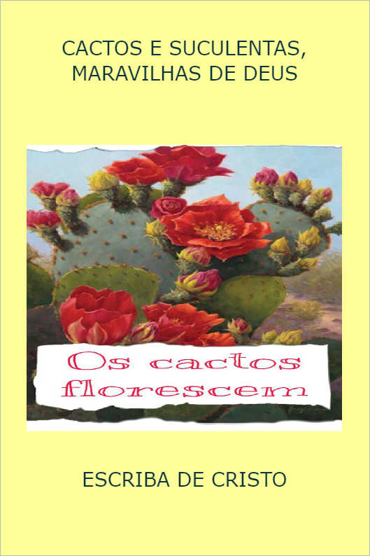 LICORES - MARAVILHAS DA HUMANIDADE